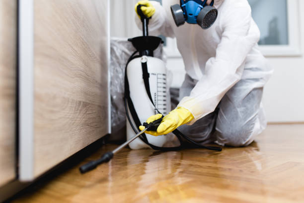 Best Pest Control Near Me  in Okemos, MI