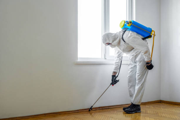 Best Flea Control Services  in Okemos, MI