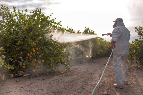 Best Pest Prevention Services  in Okemos, MI